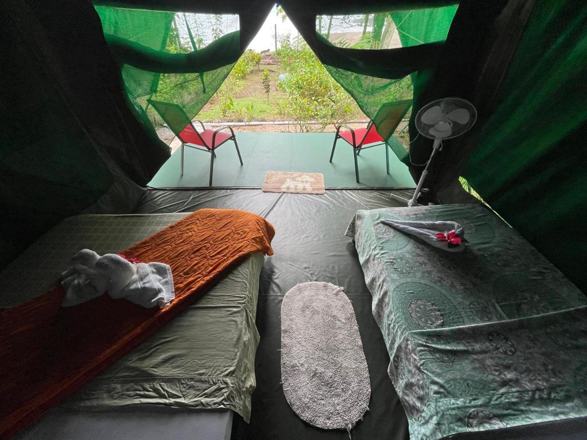 Corcovado Adventures Hostel Drakes Bay Exterior foto