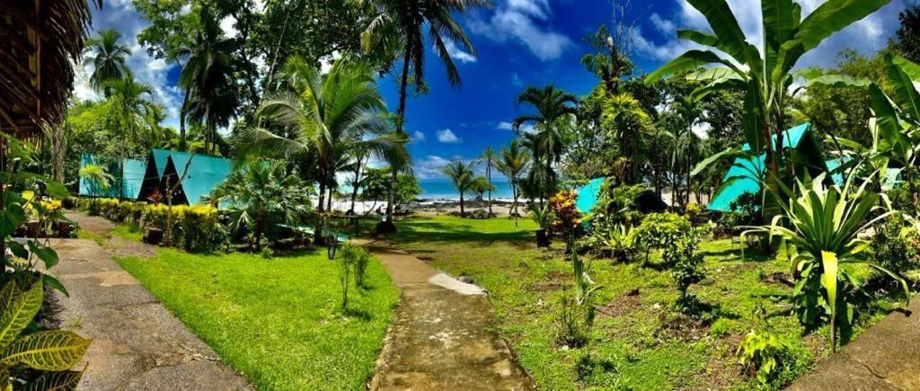 Corcovado Adventures Hostel Drakes Bay Exterior foto