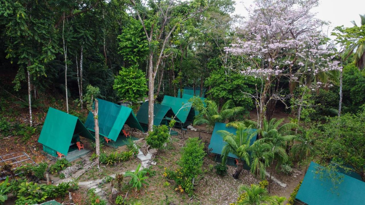 Corcovado Adventures Hostel Drakes Bay Exterior foto