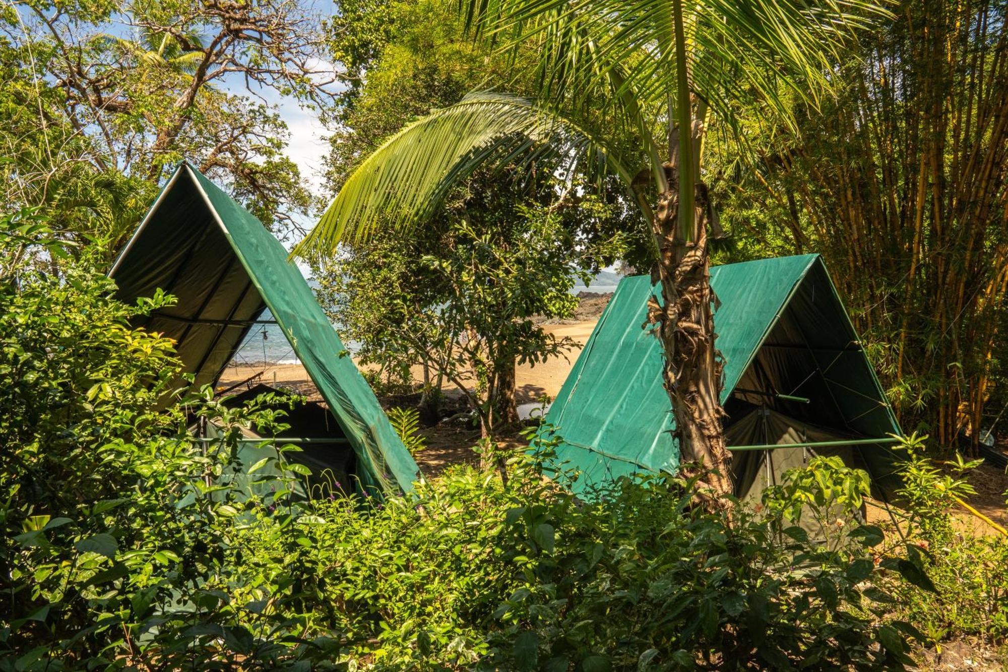 Corcovado Adventures Hostel Drakes Bay Exterior foto