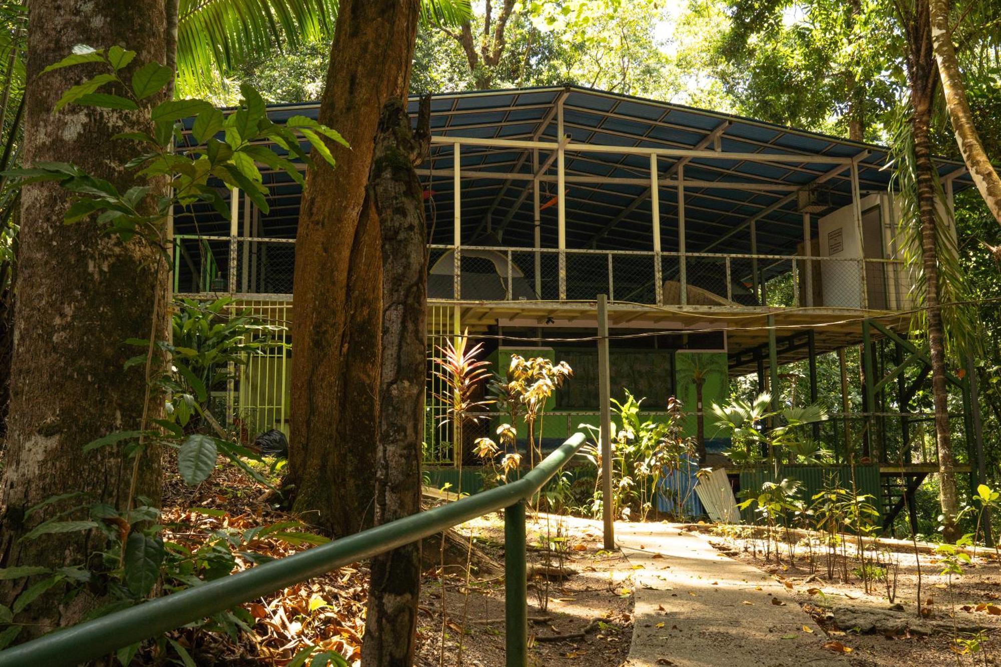 Corcovado Adventures Hostel Drakes Bay Exterior foto