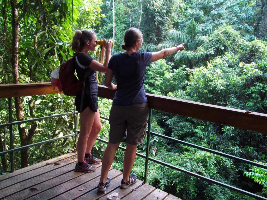Corcovado Adventures Hostel Drakes Bay Exterior foto